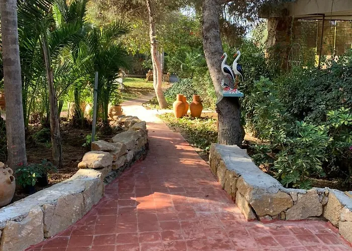 Palmeraie 3